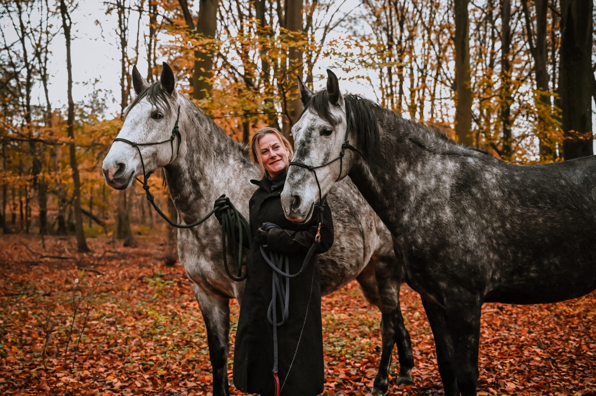 Nieky met haar paarden